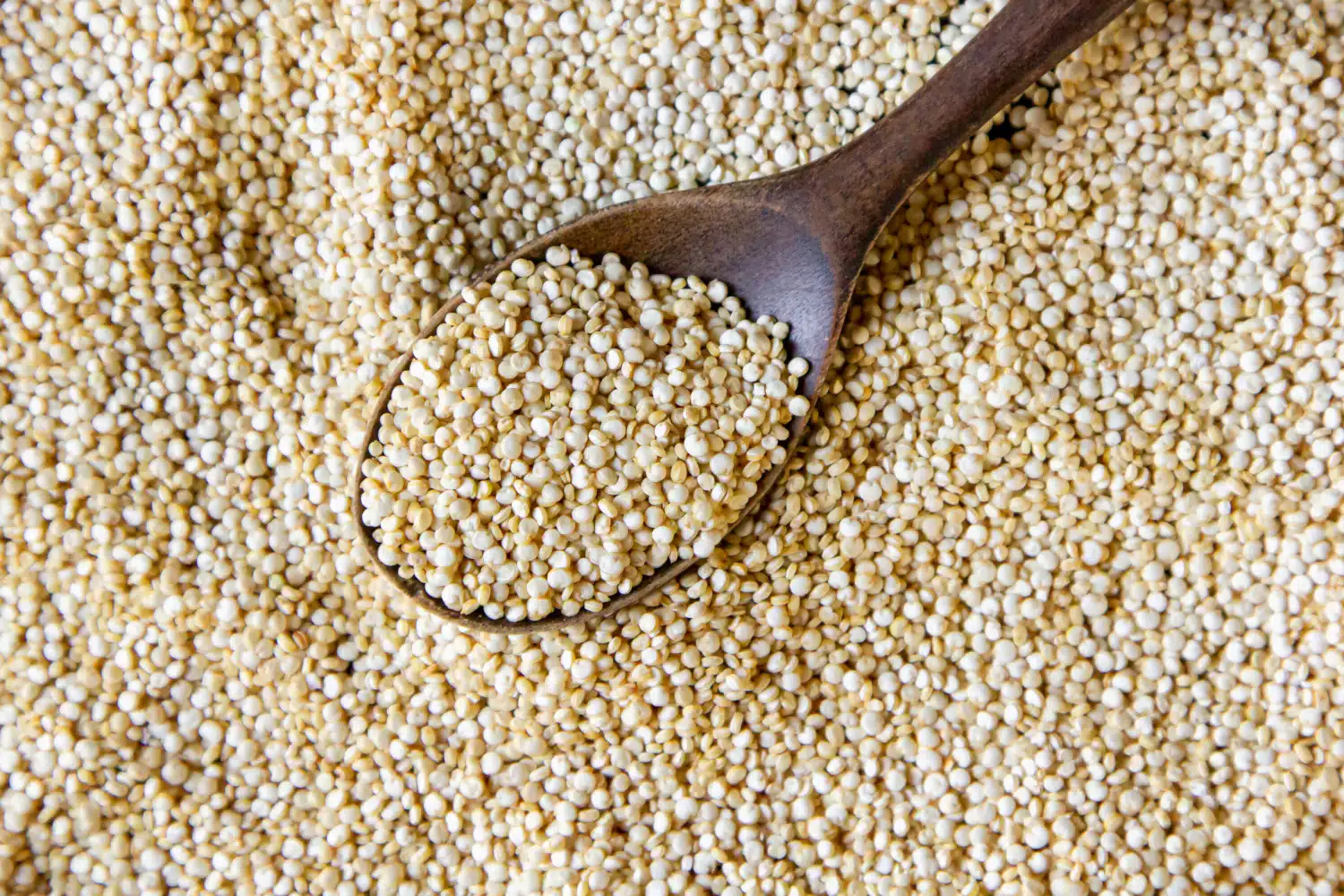 Quinoa: Conheça este superalimento