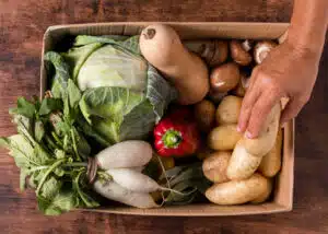 alimentos orgânicos
